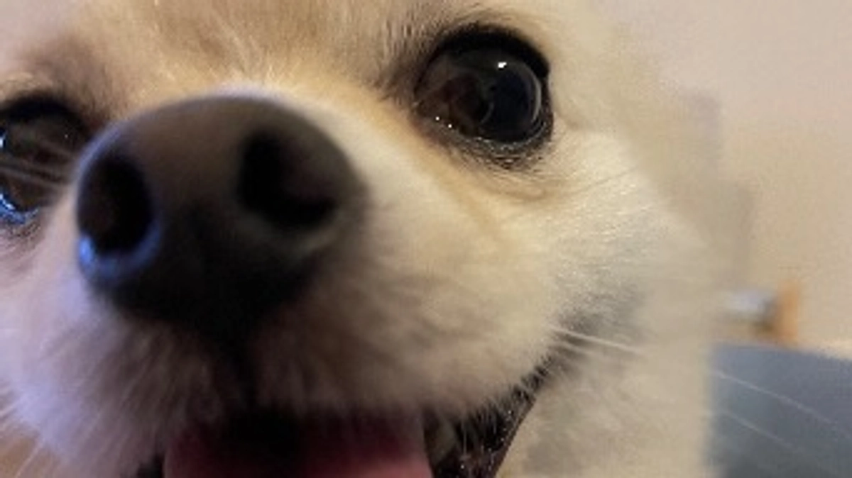 残り32日💌ハッピーバレンタイン🍫