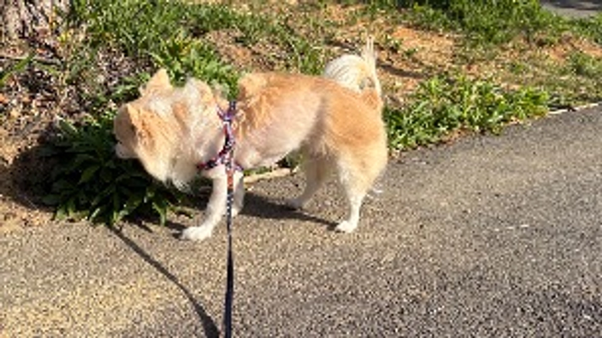 ２ヶ月検診⭐️