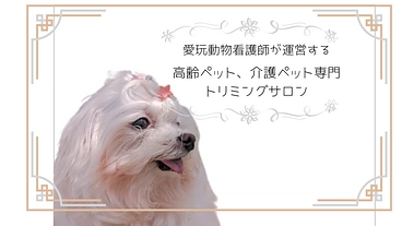 介護シニア専門のトリミングサロン　予約枠拡大のため内装工事費 のトップ画像