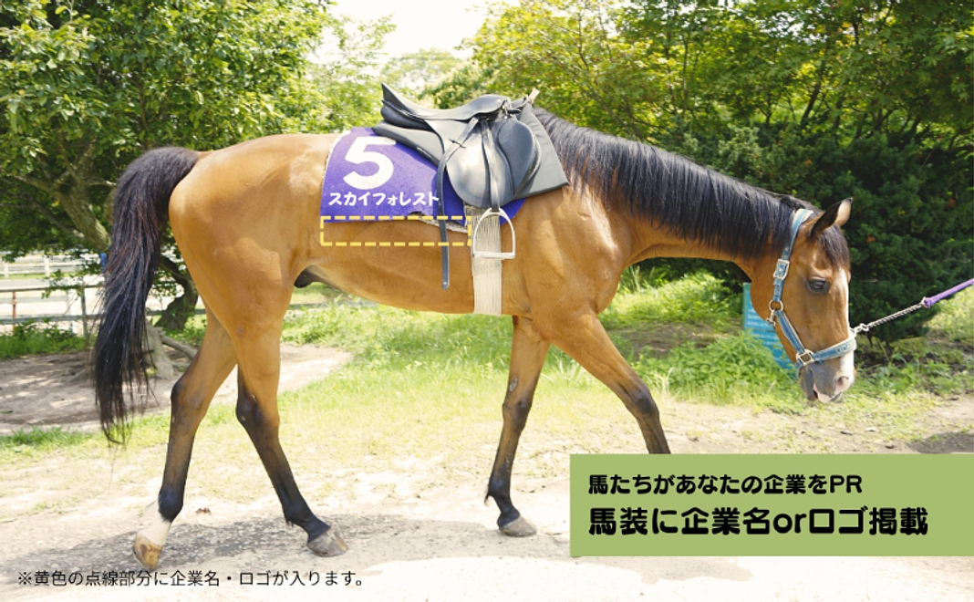 【馬たちがあなたの企業をPR】馬装に企業名orロゴ掲載