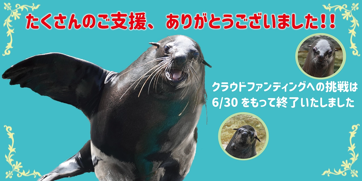 たくさんのご支援、ありがとうございました！！