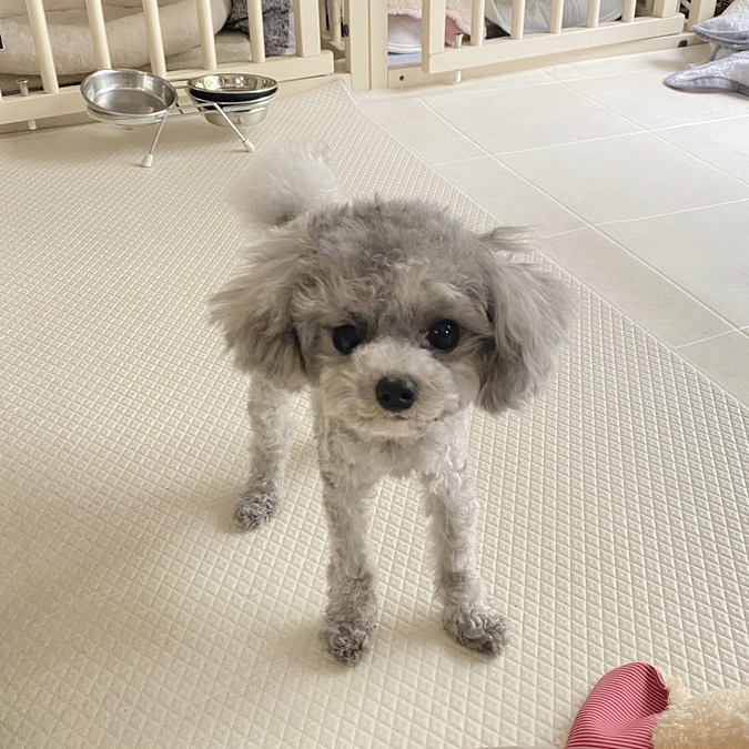 応援メッセージが届きました！