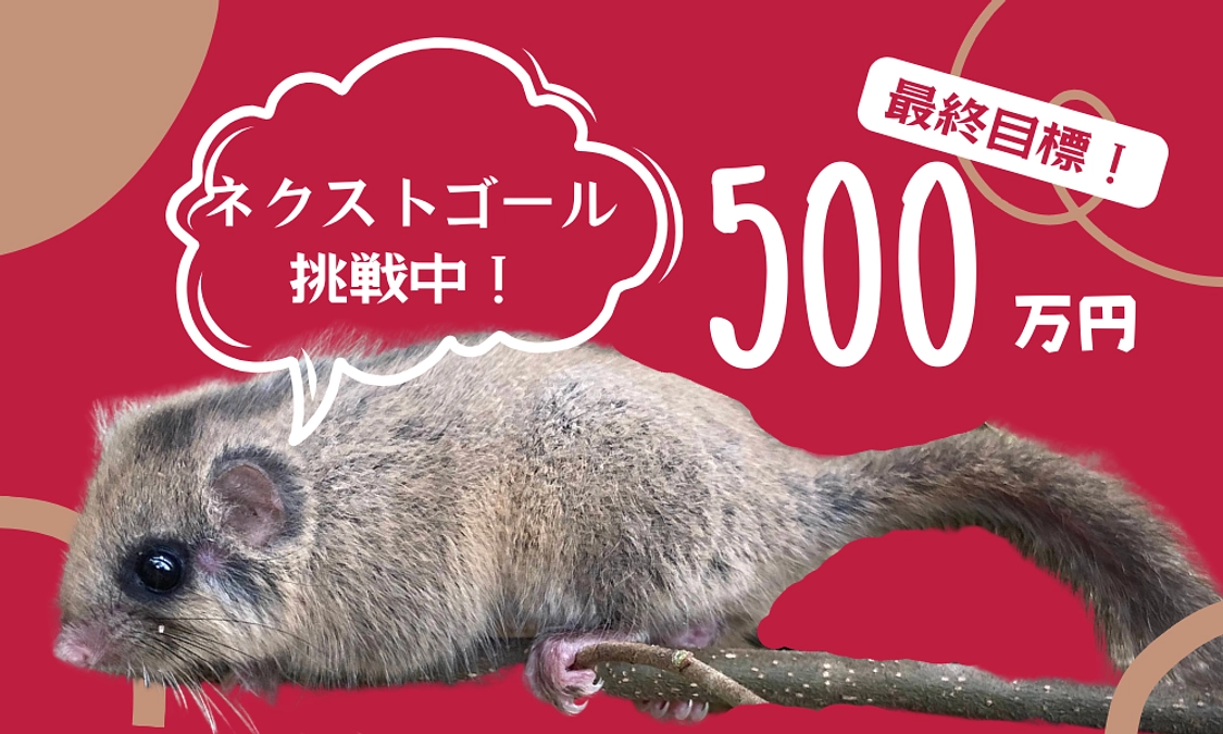 ネクストゴール挑戦中！【最終目標500万円】