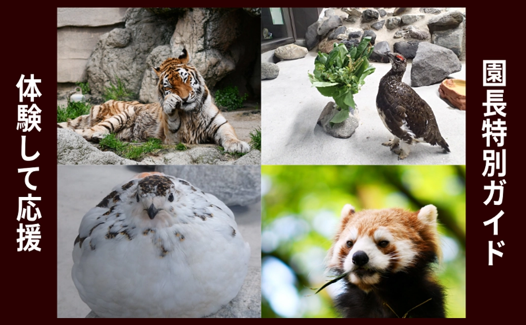 体験して応援｜ファミリーパークの園長特別ガイド