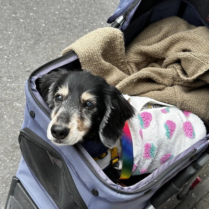 残り15万円となりました！！！