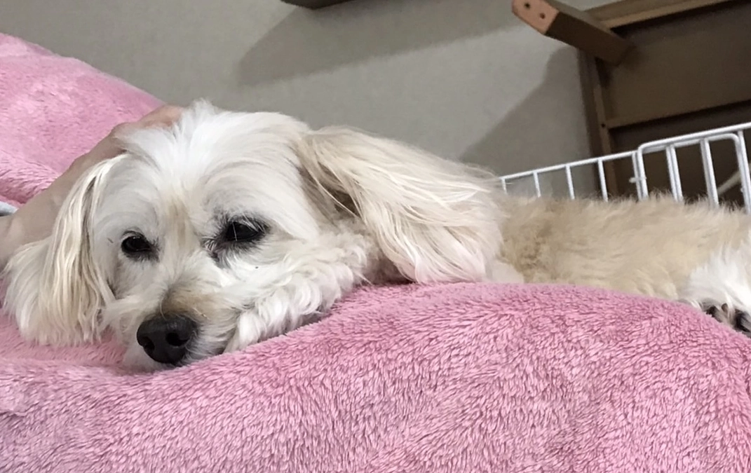 姫芽の私に対する行動の変化