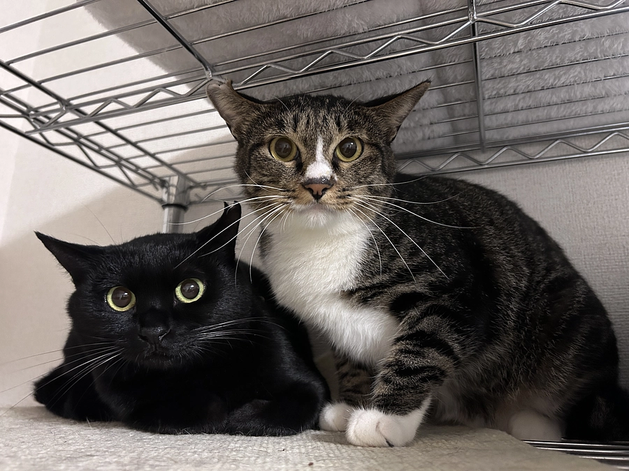 8月の活動レポート