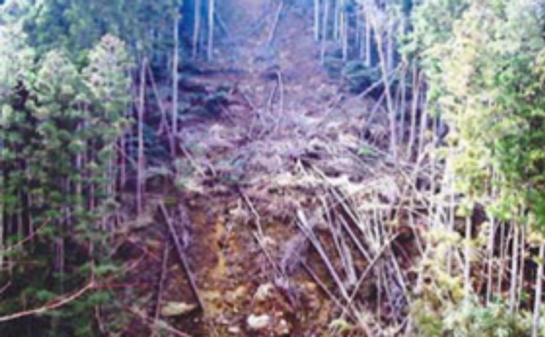 エコネットあんじょうサポーター