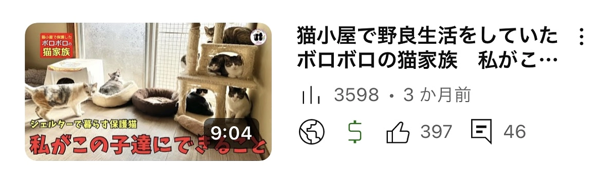 私がこの子達にできること