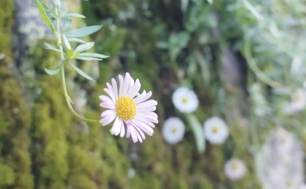 1000円ご支援いただいた皆様にサンクスメールをお送りいたします