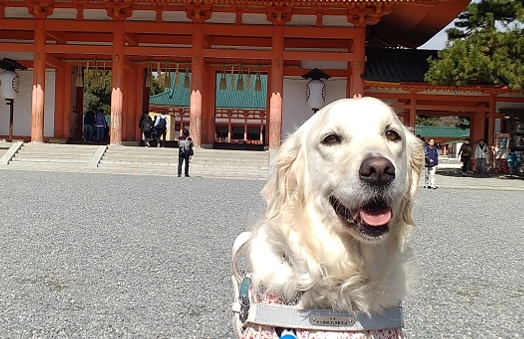 平安神宮前で(2024/02/19)