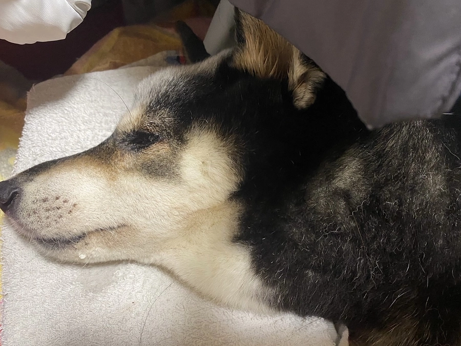 まだ可能性はあるようです。