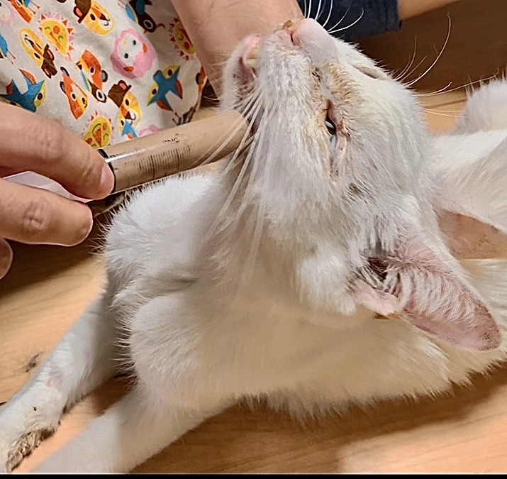 色んな事情から