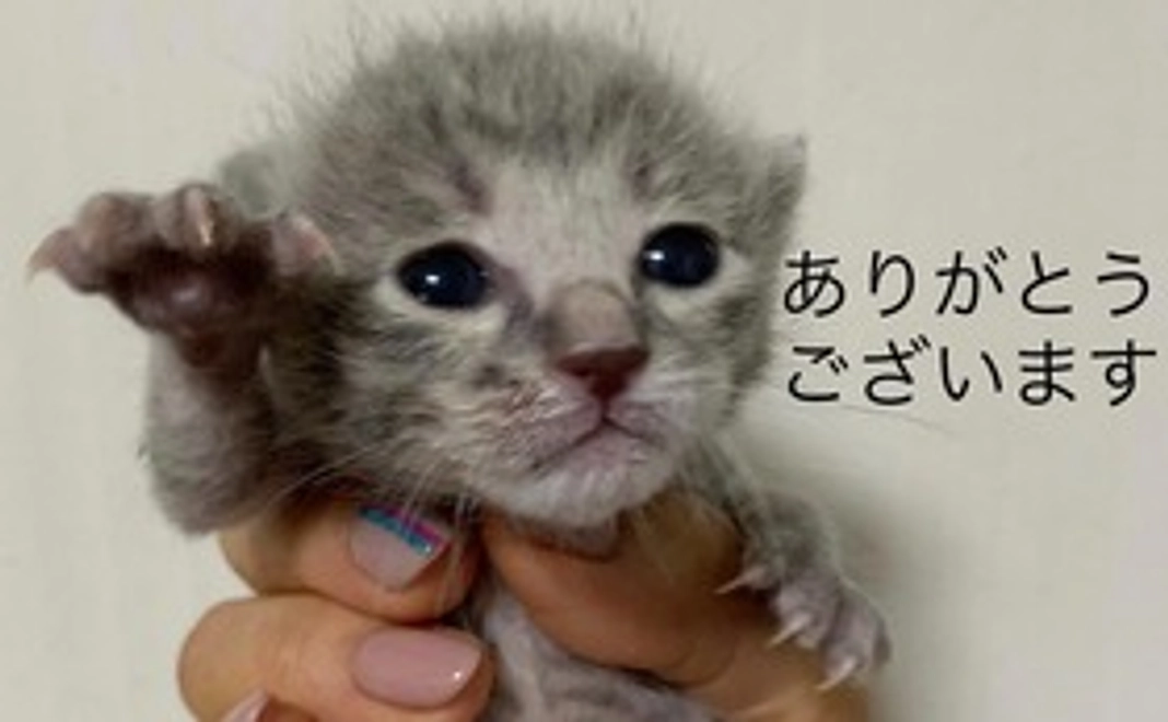 継続支援 毎月5000円