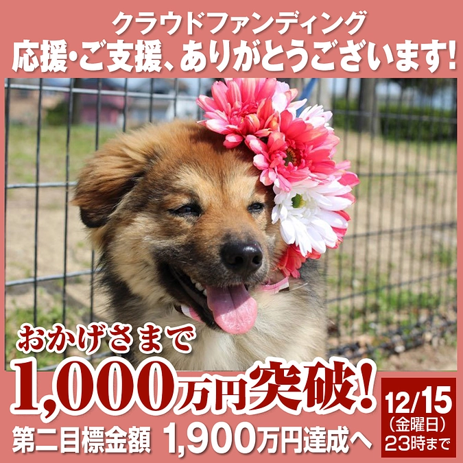 【1,000万円突破！】誓いを胸に・・・