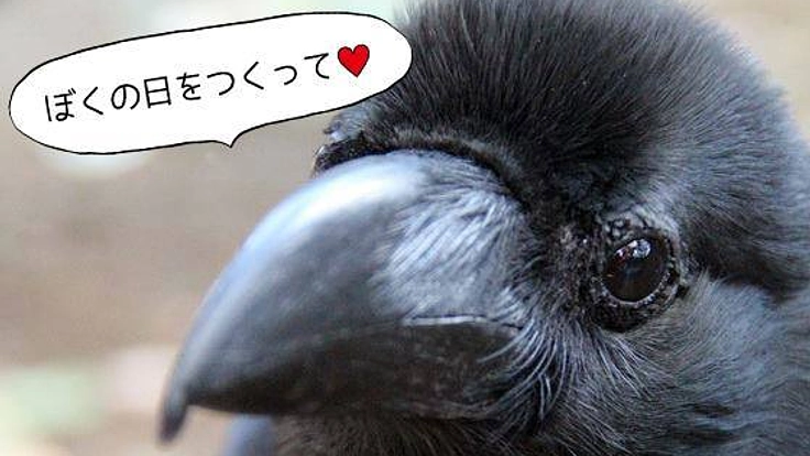 9月6日を「カラスの日」に記念日登録しカラスの魅力を広めたい!