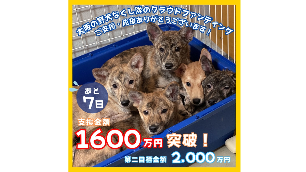 【あと7日❗1600万円突破しました！】皆さまからいただいたメッセージを糧に、今日も命と向き合います