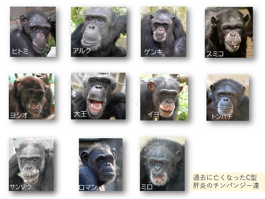 新たなクラウドファンディング開始！