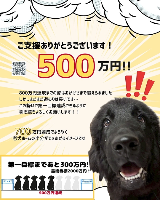 【500万縁突破‼︎】クラファン失敗してもやる人生かけた老犬ホーム計画、支援で未来を変えてください！