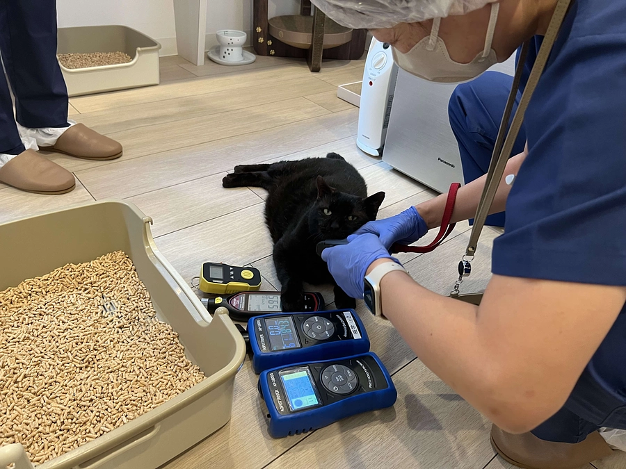 日本獣医生命科学大学の専門家チームが当シェルターを訪問・調査