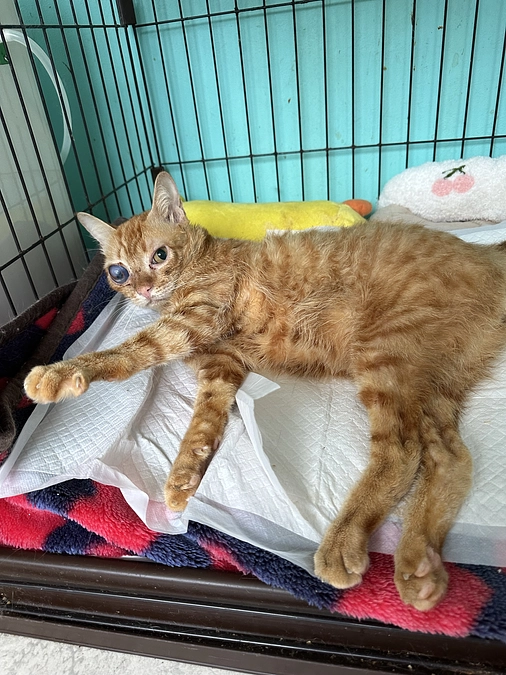 皆様の応援ご支援に感謝で一杯です‼️