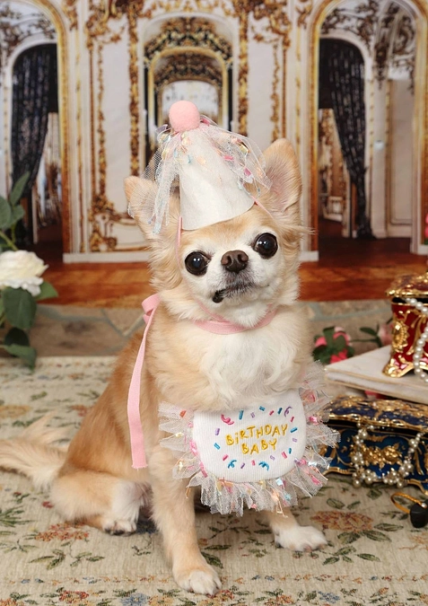 今日という日を迎えることが出来ましたのは、皆様のおかげです…