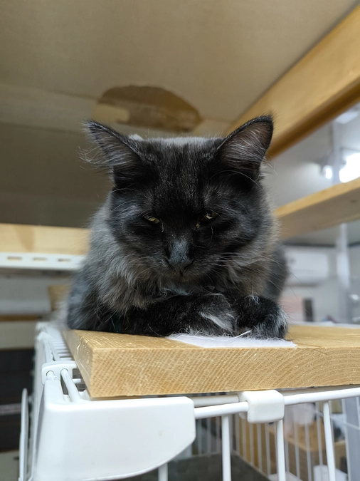 皆様ご支援ありがとうございました！