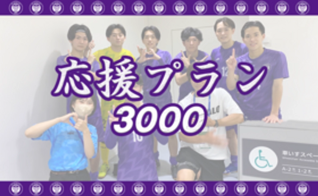 【応援プラン】3000円