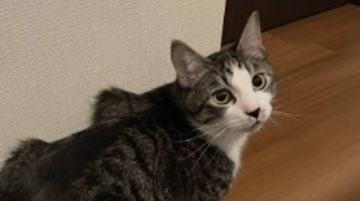 久しぶりの青空