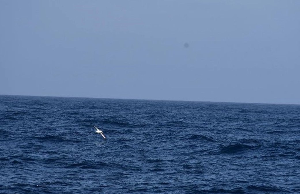 2024年1月13日「まだ南極海ではありませんが」