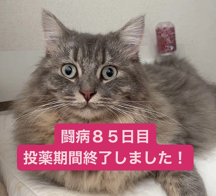 投薬終了🌸経過観察にはいります！