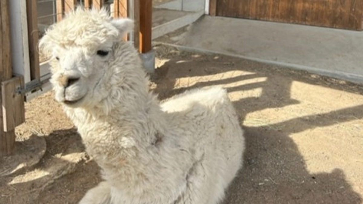 応援メッセージを紹介いたします！（3)