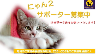 にゃん2応援マンスリーでサポーター募集してます。 のトップ画像