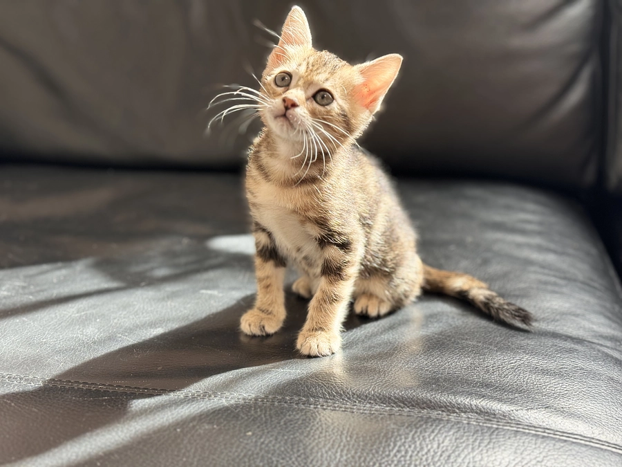 出来ることからコツコツと