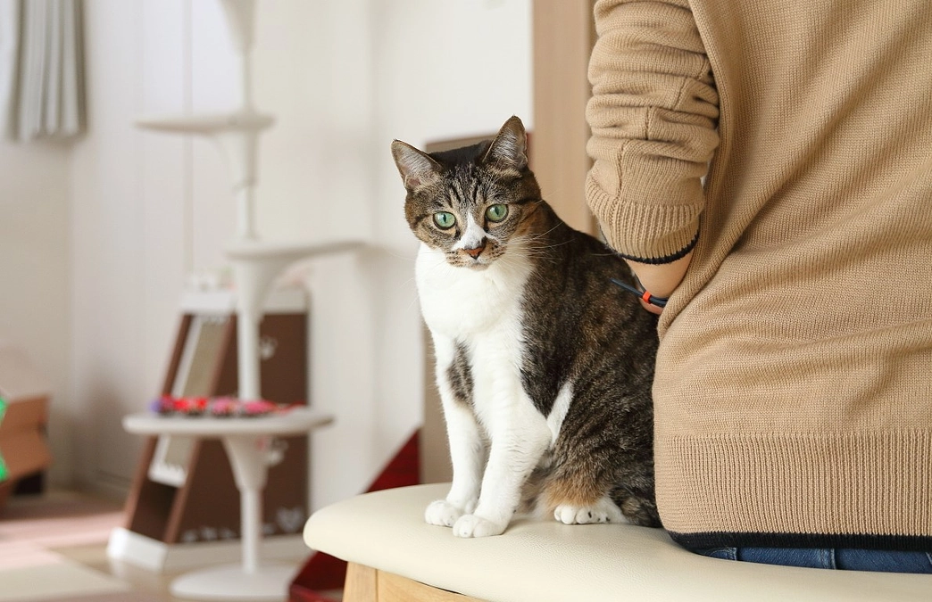 【残り４日】保護活動に出会ったきっかけ