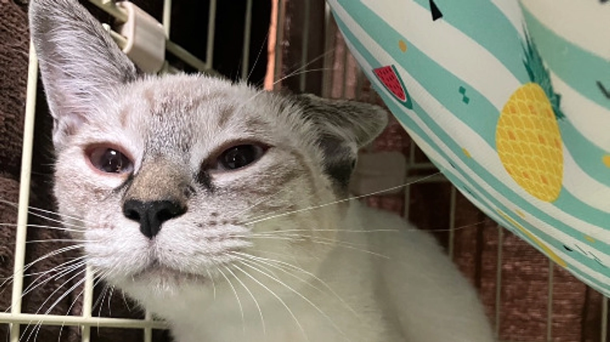 令和7年10月の中間報告！