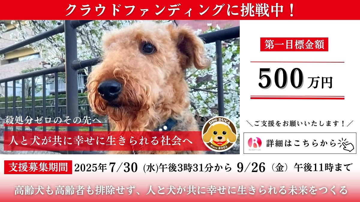 明日、7/30水の午後3:31より、クラウドファンディングをスタートします