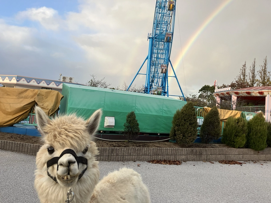 抜群のスタートダッシュ