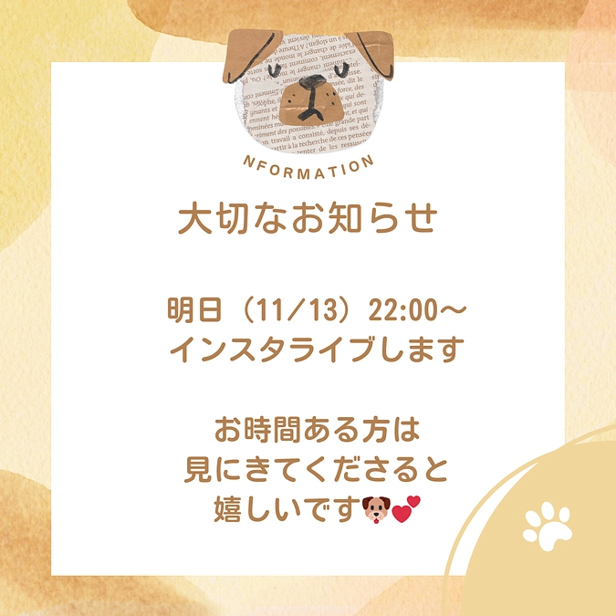 明日（11/13）22:00〜　インスタライブします🐶💞