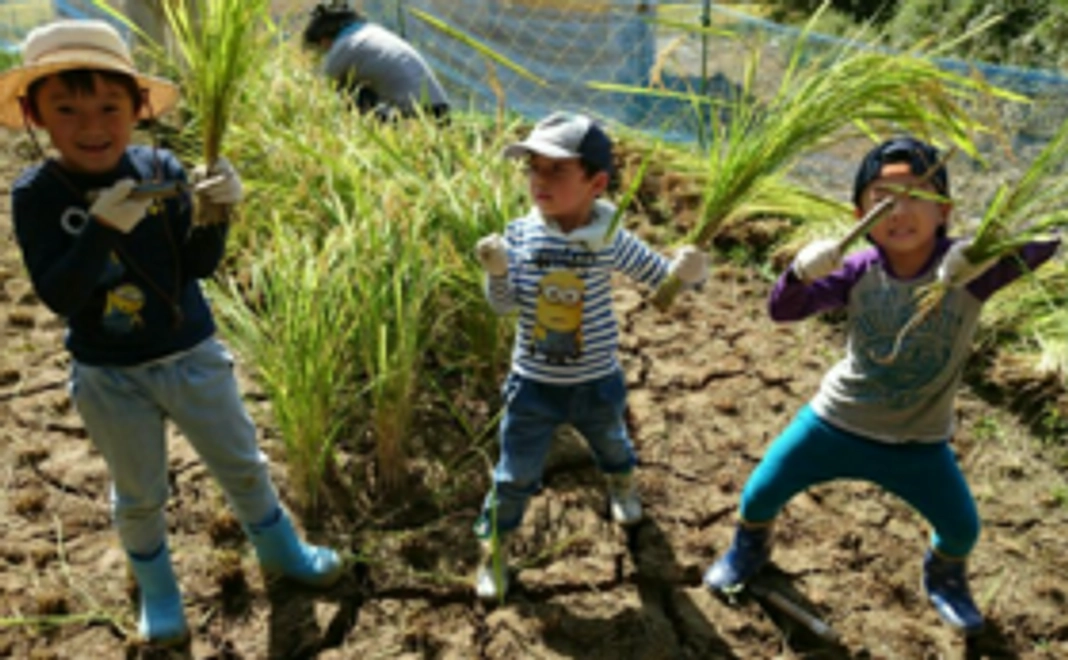 最高の食育!田植え体験