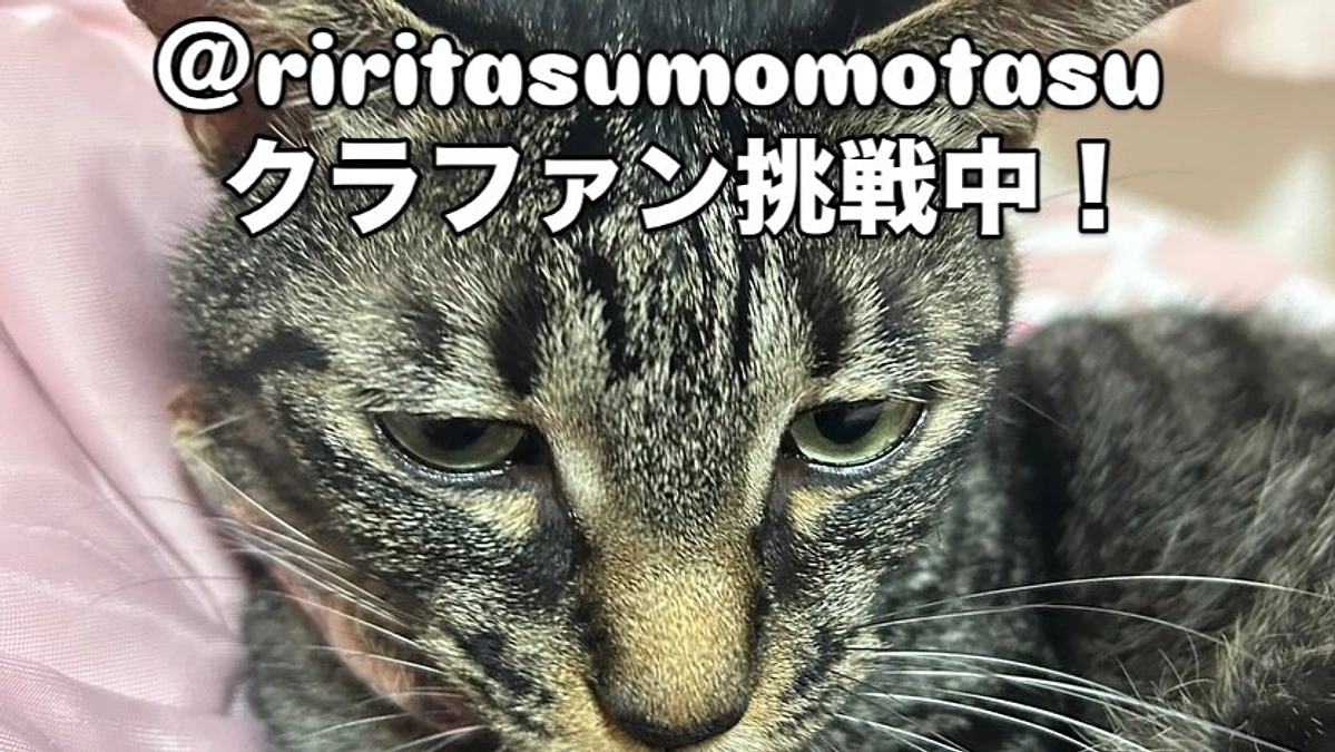 インスタグラム。