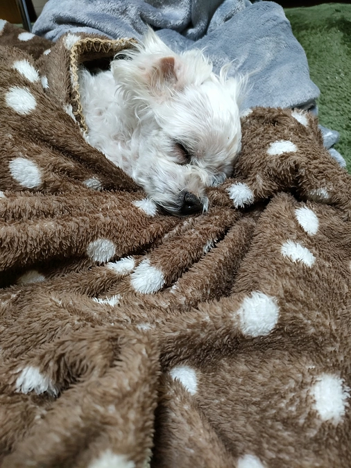 体調安定してきました