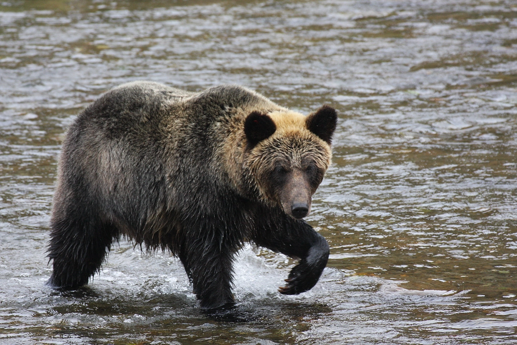 北大リサーチタイムズの記事が北大トップページに掲載されました