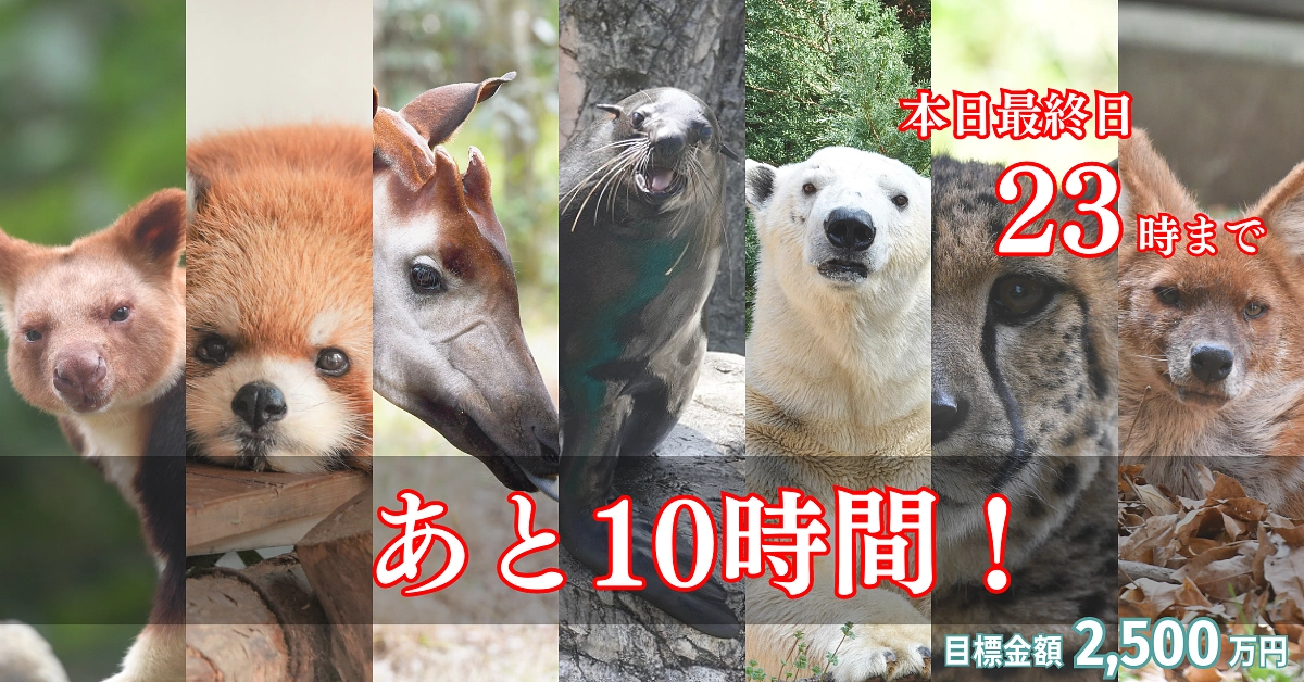 オットセイに快適な環境を！～プロジェクト終了まで【あと10時間】～