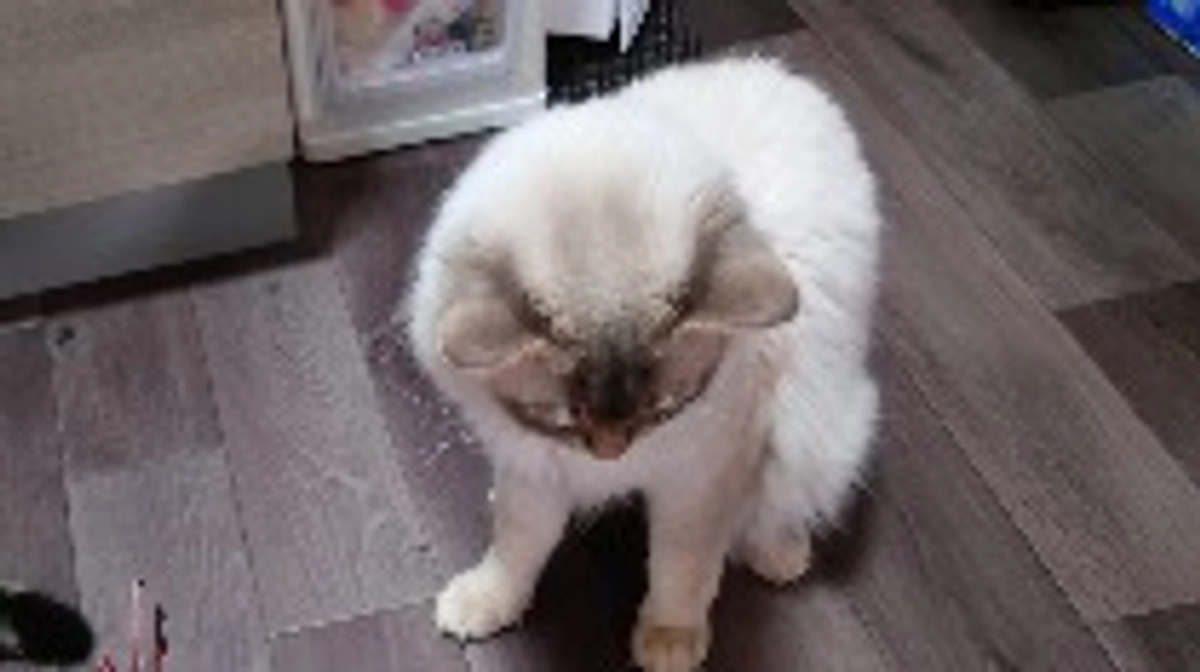 本日22時30分よりインスタライブをします。