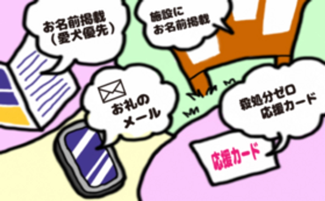 殺処分ゼロ全力応援Bコース