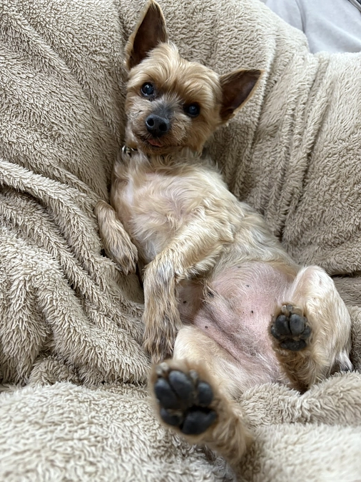 【応援】アトムご家族様より