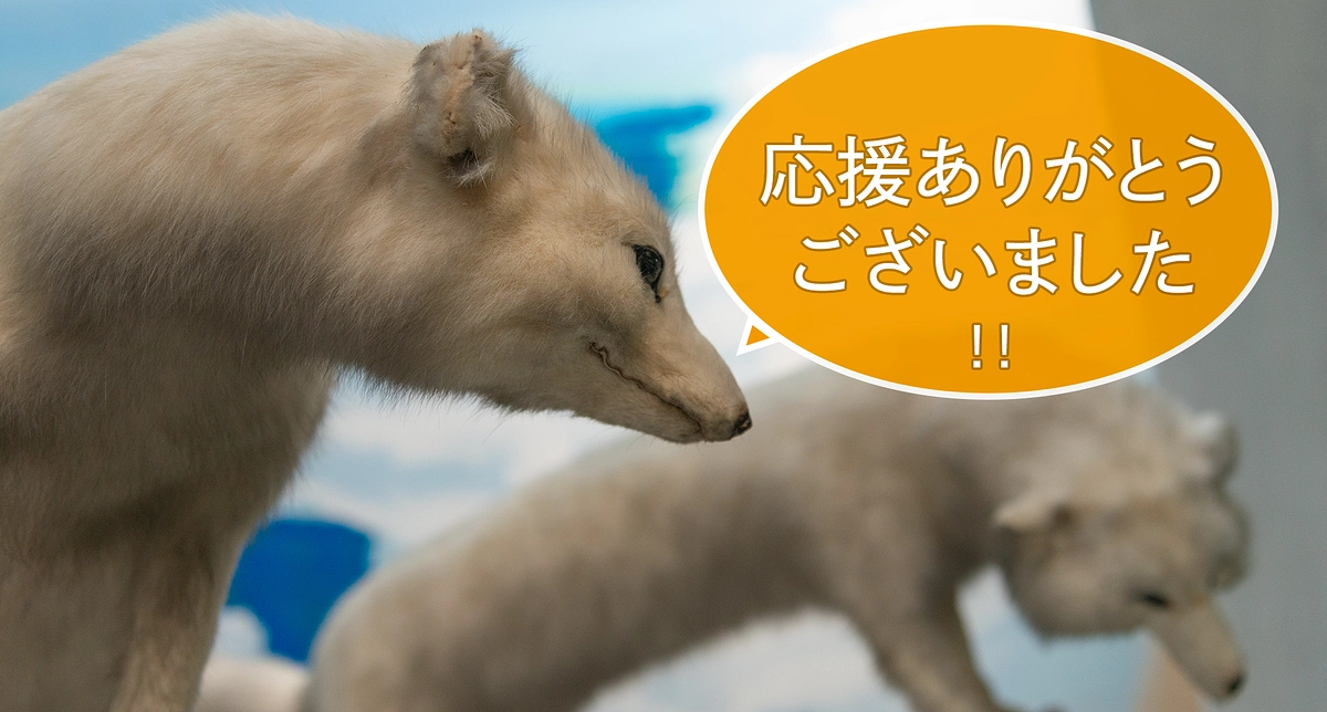 クラウドファンディング終了｜ご支援ありがとうございました！