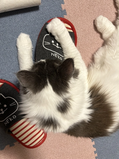 経過観察54日目👀✨️