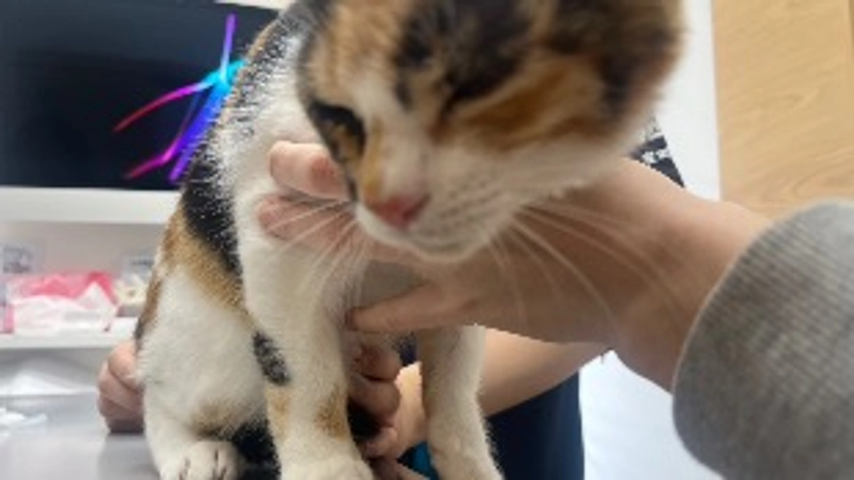 定期検診でした！